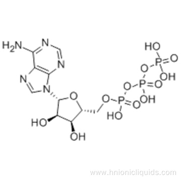 Adenosine triphosphate CAS 56-65-5